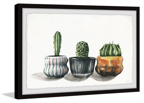 Cactus on Point