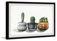 Cactus on Point