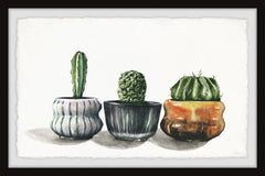 Cactus on Point