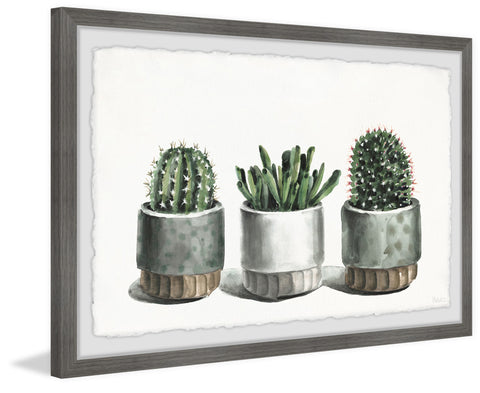 Metallic Cactus Pots