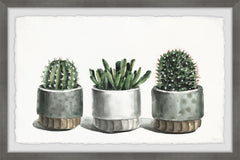 Metallic Cactus Pots