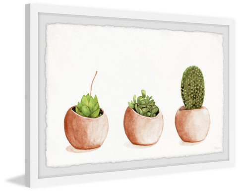 Copper Pots
