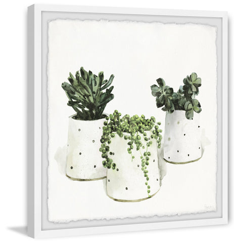Polka Pots