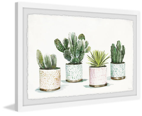 Pretty Pots Cactus