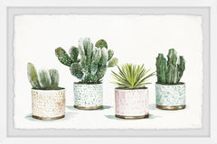 Pretty Pots Cactus