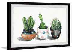 Party Pots Cactus
