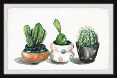 Party Pots Cactus