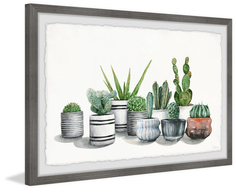 Lined Potted Cactus