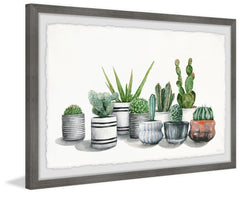 Lined Potted Cactus