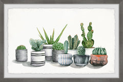 Lined Potted Cactus