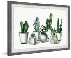 Ceramic Potted Cactus