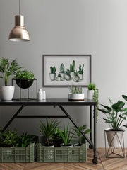 Ceramic Potted Cactus