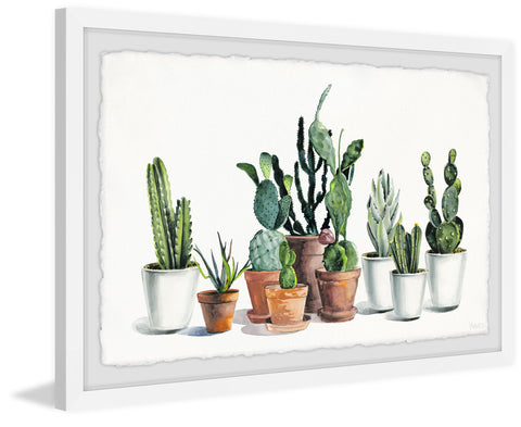 Cactus Alive