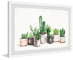 Fancy Potted Cactus
