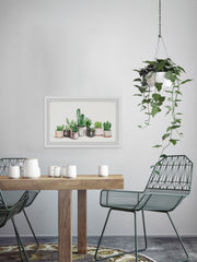 Fancy Potted Cactus
