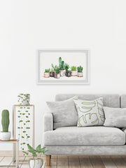 Fancy Potted Cactus