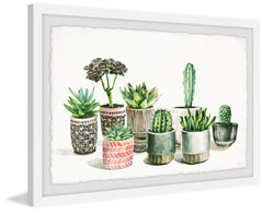 Patterned Pots Cactus