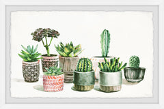 Patterned Pots Cactus