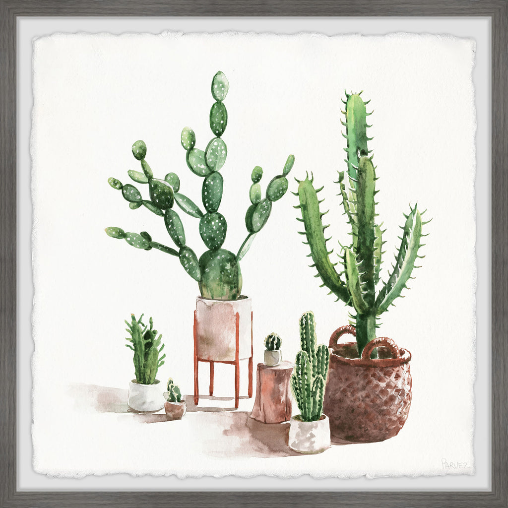 Cactus Creation