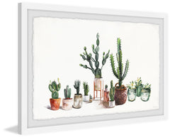 Cactus Fever