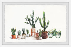 Cactus Fever