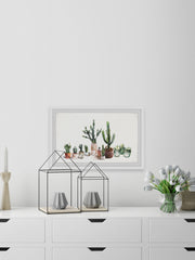 Cactus Fever