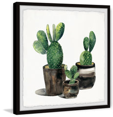 The Potted Cactus