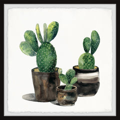 The Potted Cactus