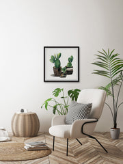 The Potted Cactus