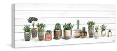 Potted Cactus Line