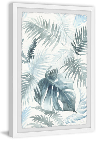 Feather Palms