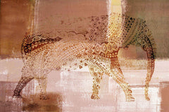 Designer Pachy