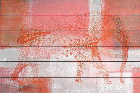 Pink Pachy