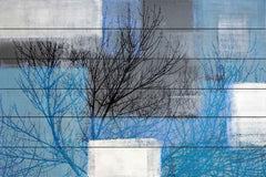 Blue Branches
