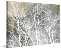 Frosty White Branches
