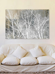 Frosty White Branches
