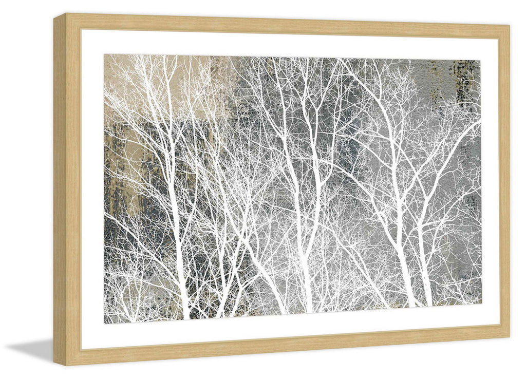 Frosty White Branches