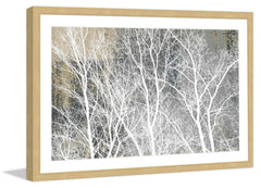 Frosty White Branches
