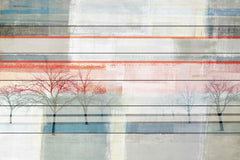 Striped View