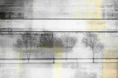 Peaceful Greys
