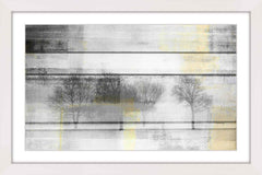 Peaceful Greys