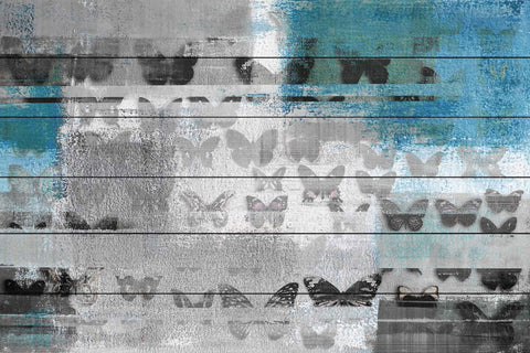 Soft Grey Wings