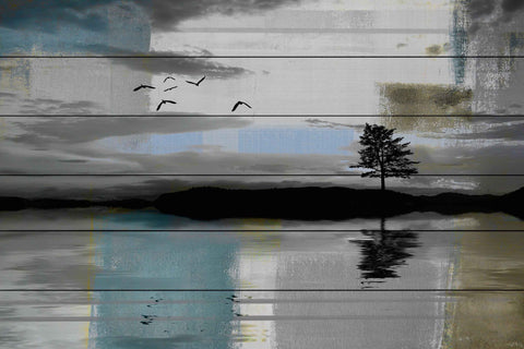Tree Reflection