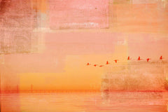 Traveling Birds