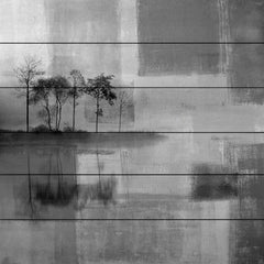Grey Landscape