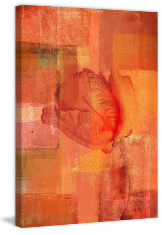 Shrouded Rose