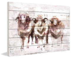 Three Rams