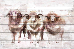 Three Rams