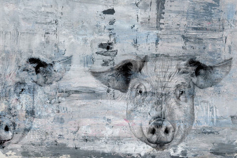 Blue Pigs