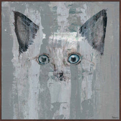 Blue-Eyed Cat